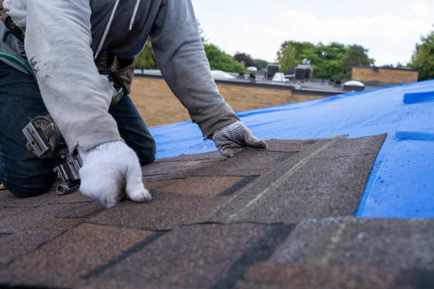 Best Slate Roofing Contractor  in Greybull, WY