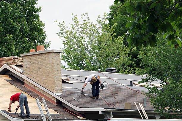 Best Roof Maintenance Services  in Greybull, WY