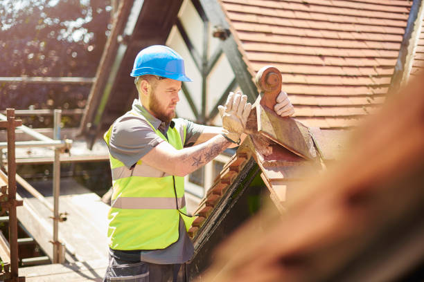Best Roof Gutter Cleaning  in Greybull, WY